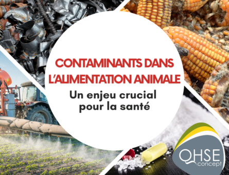 Gestion des contaminants dans l'alimentation animale : un enjeu crucial pour la santé.