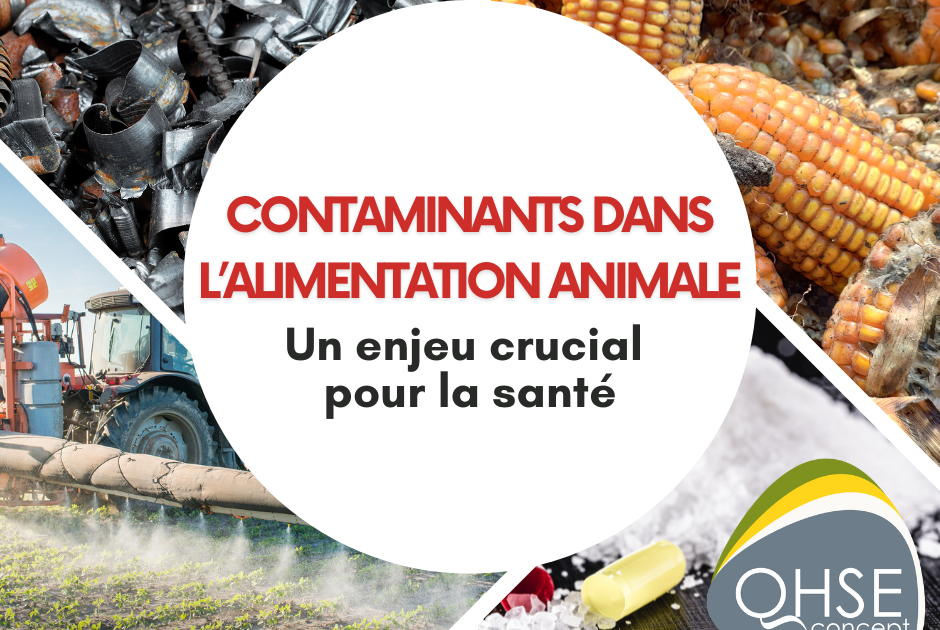 Gestion des contaminants dans l'alimentation animale : un enjeu crucial pour la santé.