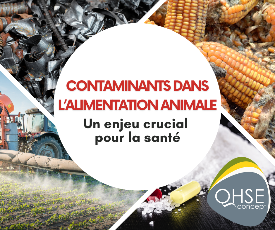 Gestion des contaminants dans l'alimentation animale : un enjeu crucial pour la santé.