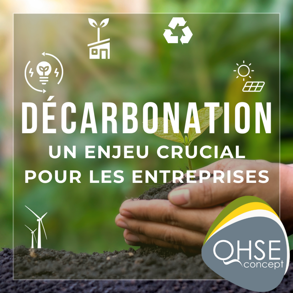 Mains avec une plante et des feuilles - éoliennes, ampoule à économie d'énergie, usine écoresponsable, recyclage, photovoltaïques, soleil, logo QHSE Concept.