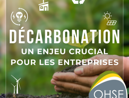 Mains avec une plante et des feuilles - éoliennes, ampoule à économie d'énergie, usine écoresponsable, recyclage, photovoltaïques, soleil, logo QHSE Concept.