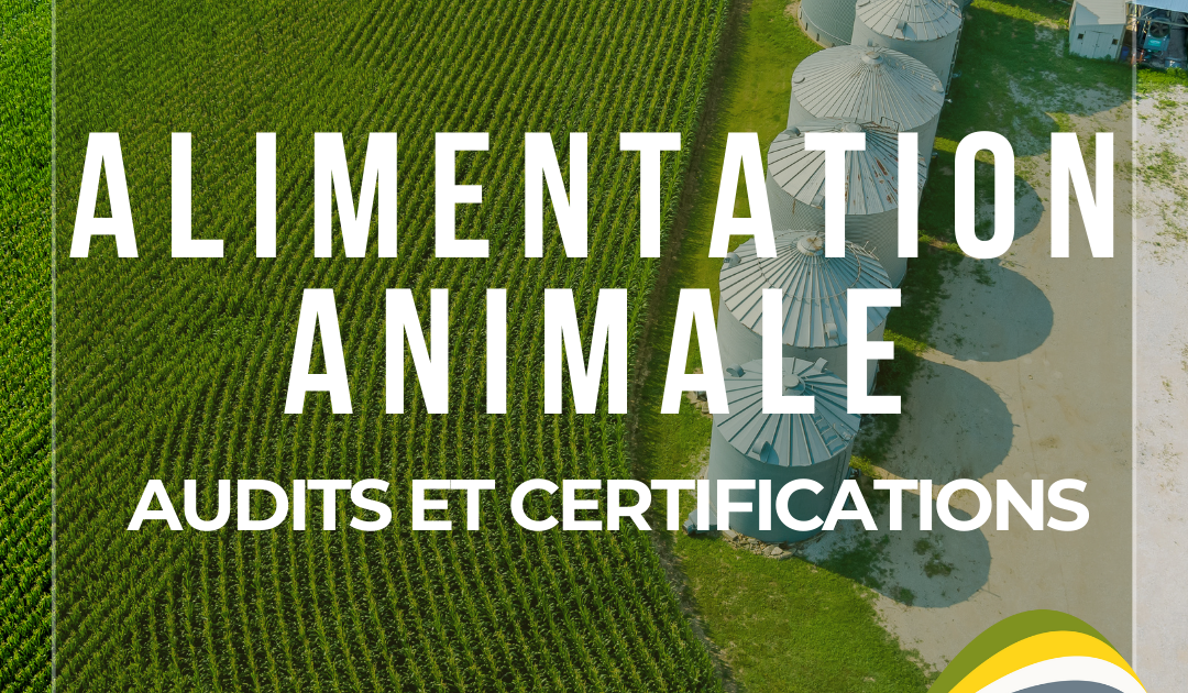 L'importance des audits et certifications dans la sécurité des aliments pour animaux.