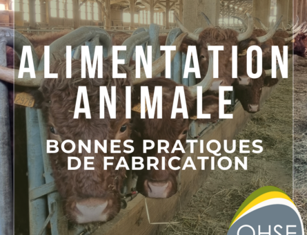 Alimentation animale : Les bonnes pratiques de fabrication.