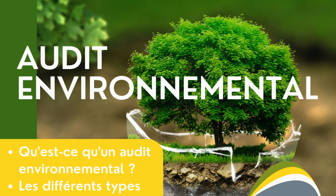 Rôle des audits environnementaux dans l'amélioration continue : essentiels pour améliorer vos performances !