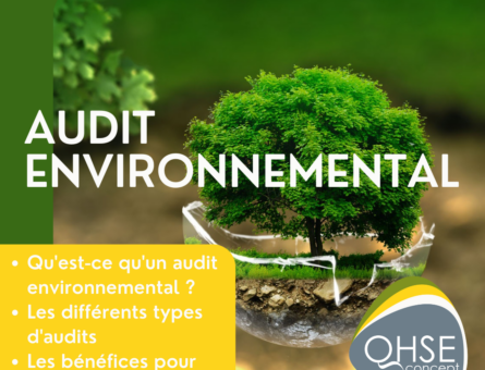 Rôle des audits environnementaux dans l'amélioration continue : essentiels pour améliorer vos performances !