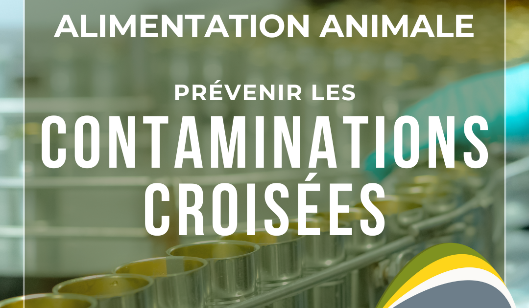 Prévention de la Contamination Croisée dans les Aliments pour Animaux : Bonnes Pratiques et Solutions Essentielles