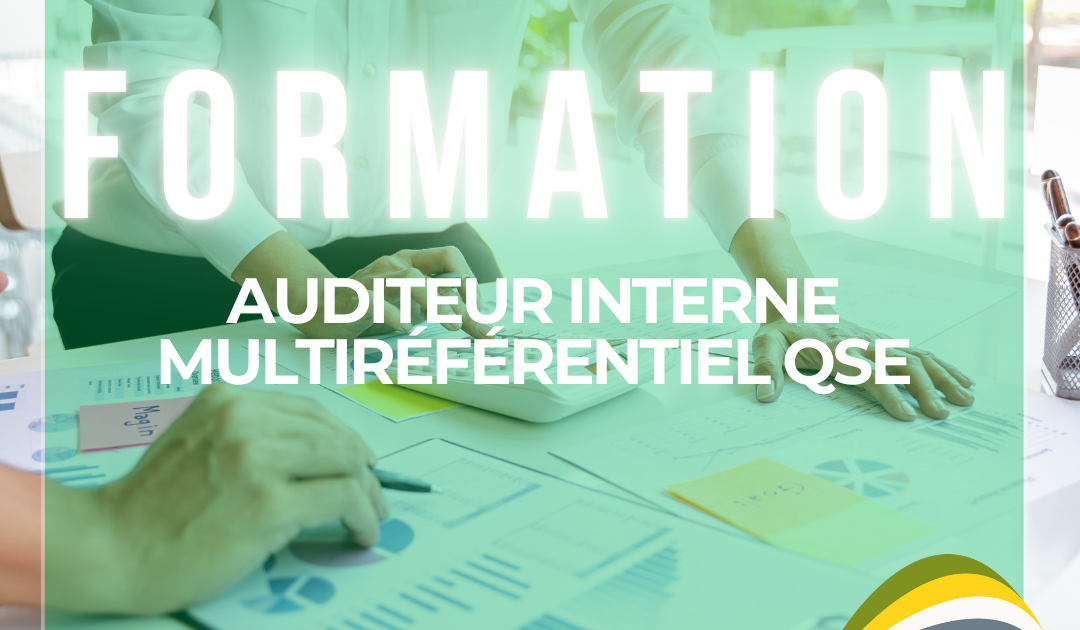 objectifs et bénéfices d'une formation auditeur interne multiréférentiel QSE