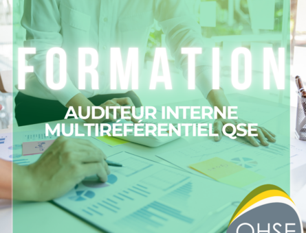 objectifs et bénéfices d'une formation auditeur interne multiréférentiel QSE